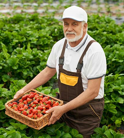 Conseillère BrennGold à votre écoute